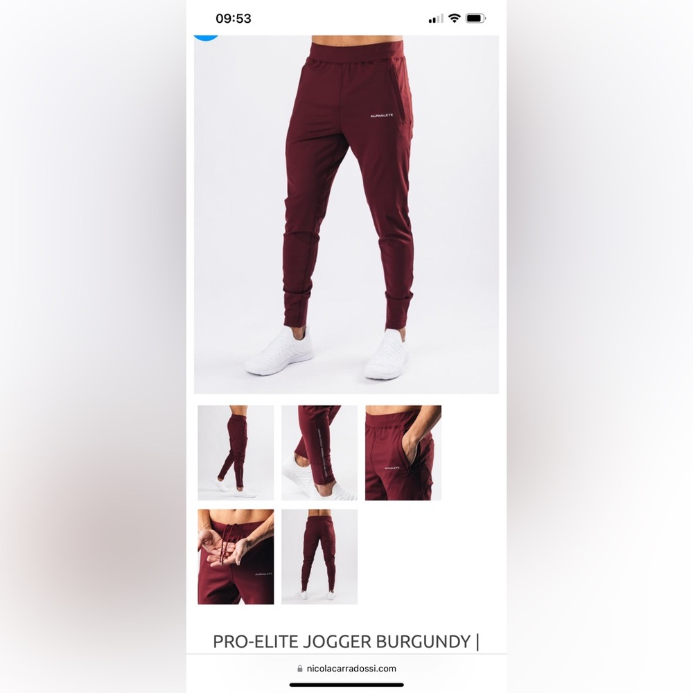 Alphalete - Pro-Elite Jogger - Burgundy (Medium)